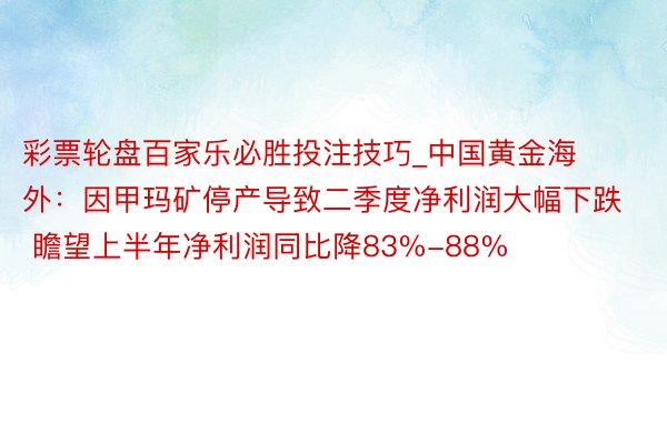 彩票轮盘百家乐必胜投注技巧_中国黄金海外：因甲玛矿停产导致二季度净利润大幅下跌 瞻望上半年净利润同比降83%-88%