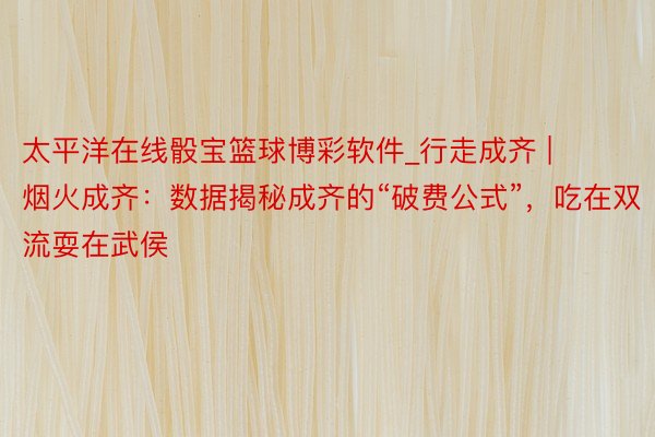 太平洋在线骰宝篮球博彩软件_行走成齐 | 烟火成齐：数据揭秘成齐的“破费公式”，吃在双流耍在武侯