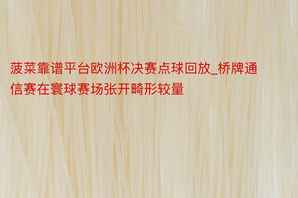 菠菜靠谱平台欧洲杯决赛点球回放_桥牌通信赛在寰球赛场张开畸形较量